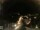 Webcam in Laggio di Cadore, 48.1 km