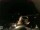 Webcam in Laggio di Cadore, 8.1 km entfernt