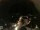 Webcam in Laggio di Cadore, 16.7 mi away