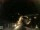 Webcam in Laggio di Cadore, 40.2 km