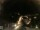 Webcam in Laggio di Cadore, 6.9 km