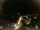 Webcam in Laggio di Cadore, 8.1 km