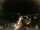 Webcam in Laggio di Cadore, 6.9 km