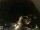 Webcam in Laggio di Cadore, 17.1 mi away