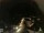 Webcam in Laggio di Cadore, 43.6 km entfernt