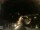 Webcam in Laggio di Cadore, 8.1 km