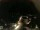 Webcam in Laggio di Cadore, 4.3 mi away