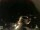 Webcam in Laggio di Cadore, 44.5 km