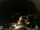 Webcam in Laggio di Cadore, 43.6 km entfernt