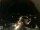 Webcam in Laggio di Cadore, 43.6 km entfernt