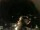 Webcam in Laggio di Cadore, 44.5 km