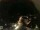 Webcam in Laggio di Cadore, 16.8 mi away