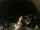 Webcam in Laggio di Cadore, 40.2 km