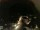 Webcam in Laggio di Cadore, 18.9 km