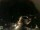 Webcam in Laggio di Cadore, 11.1 km