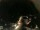Webcam in Laggio di Cadore, 6.9 km