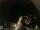 Webcam in Laggio di Cadore, 43.6 km entfernt