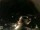 Webcam in Laggio di Cadore, 11.7 km entfernt