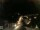 Webcam in Laggio di Cadore, 36.1 km