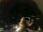 Webcam in Laggio di Cadore, 43.6 km entfernt