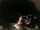 Webcam in Laggio di Cadore, 43.6 km