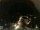 Webcam in Laggio di Cadore, 16.8 mi away