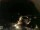 Webcam in Laggio di Cadore, 6.9 km