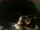 Webcam in Laggio di Cadore, 6.9 km