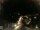 Webcam in Laggio di Cadore, 11.1 km