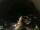 Webcam in Laggio di Cadore, 6.9 km
