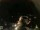 Webcam in Laggio di Cadore, 11.3 km