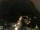 Webcam in Laggio di Cadore, 16.7 mi away