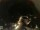 Webcam in Laggio di Cadore, 43.6 km entfernt
