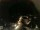 Webcam in Laggio di Cadore, 16.8 mi away