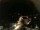 Webcam in Laggio di Cadore, 4.3 mi away