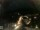 Webcam in Laggio di Cadore, 4.3 mi away