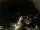 Webcam in Laggio di Cadore, 2.7 mi away