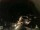 Webcam in Laggio di Cadore, 43.6 km entfernt