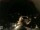 Webcam in Laggio di Cadore, 16.7 mi away
