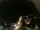 Webcam in Laggio di Cadore, 7.3 mi away