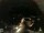 Webcam in Laggio di Cadore, 16.8 mi away