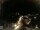 Webcam in Laggio di Cadore, 43.2 km