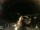 Webcam in Laggio di Cadore, 13.3 mi away