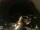Webcam in Laggio di Cadore, 16.8 mi away