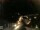Webcam in Laggio di Cadore, 8.1 km