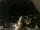 Webcam in Laggio di Cadore, 43.6 km entfernt