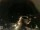 Webcam in Laggio di Cadore, 40.2 km entfernt