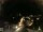 Webcam in Laggio di Cadore, 16.7 mi away