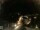 Webcam in Laggio di Cadore, 17.1 mi away