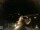 Webcam in Laggio di Cadore, 43.6 km